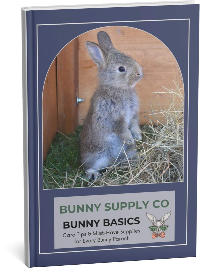 Bunny Basics Book Cover